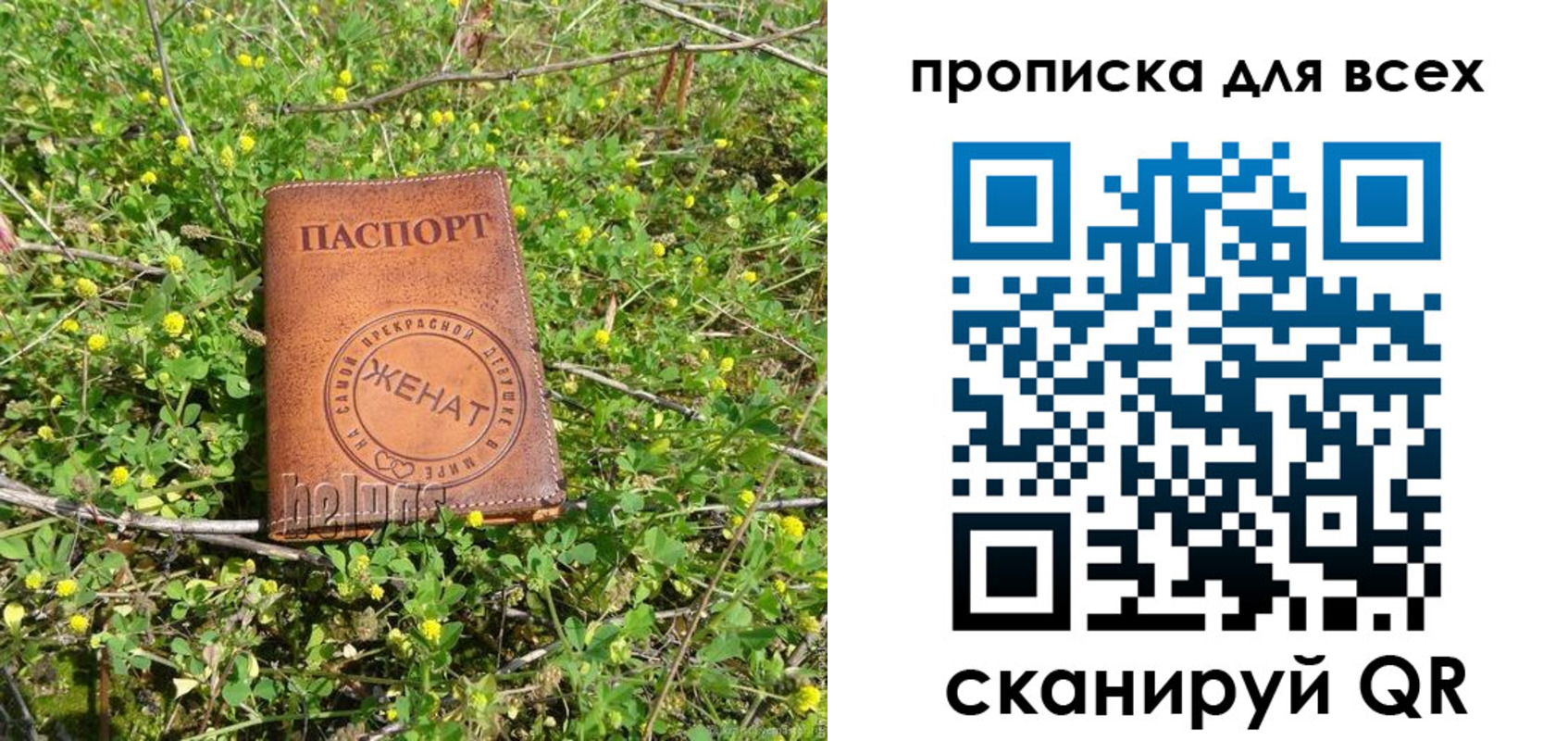 прописка поиск в Вяземском